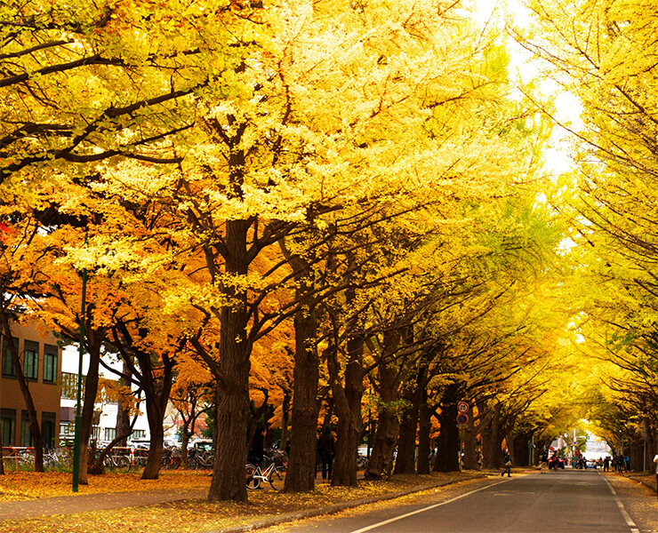 Đại học Hokkaido