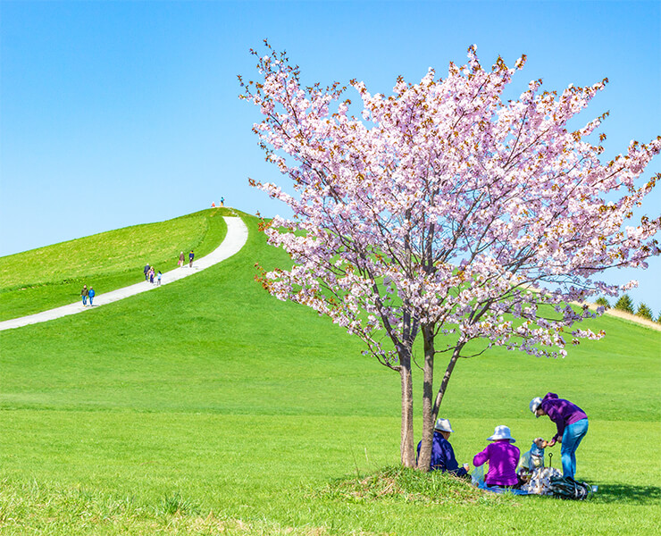 Công Moerenuma